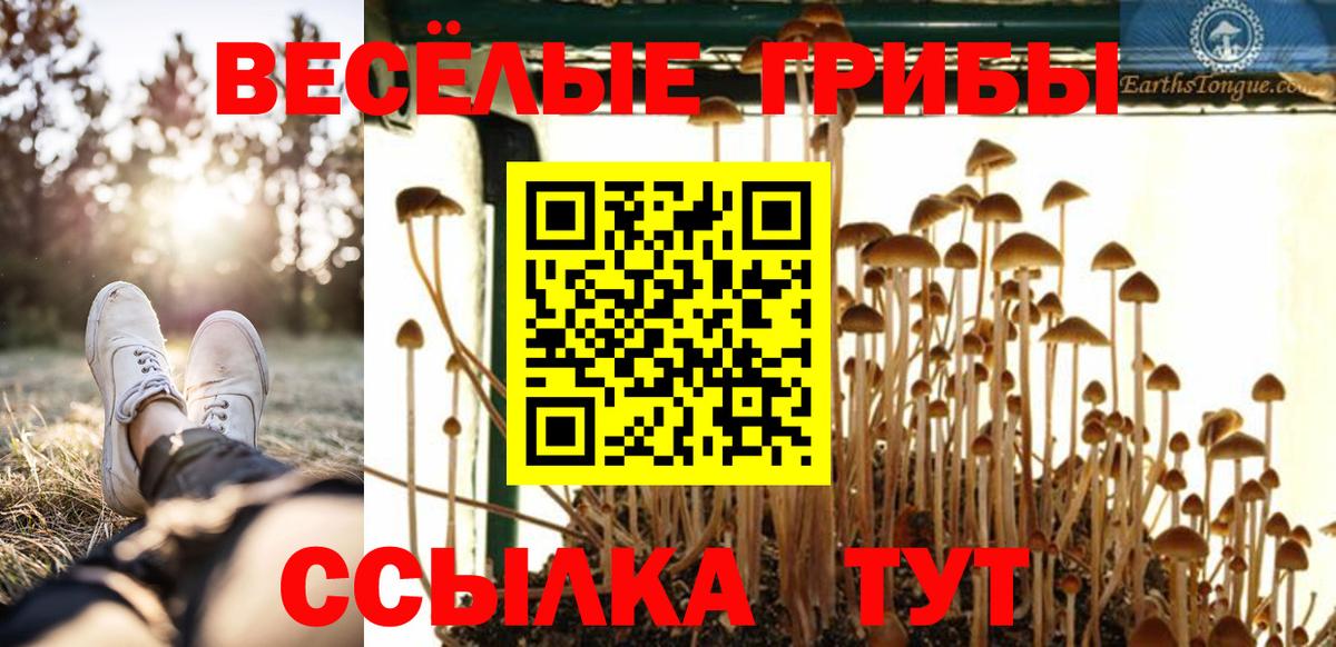 Галлюциногенные грибы MAGIC MUSHROOMS  дарнет шоп  Воркута  Вход с VPN 